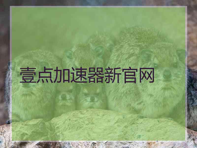 壹点加速器新官网