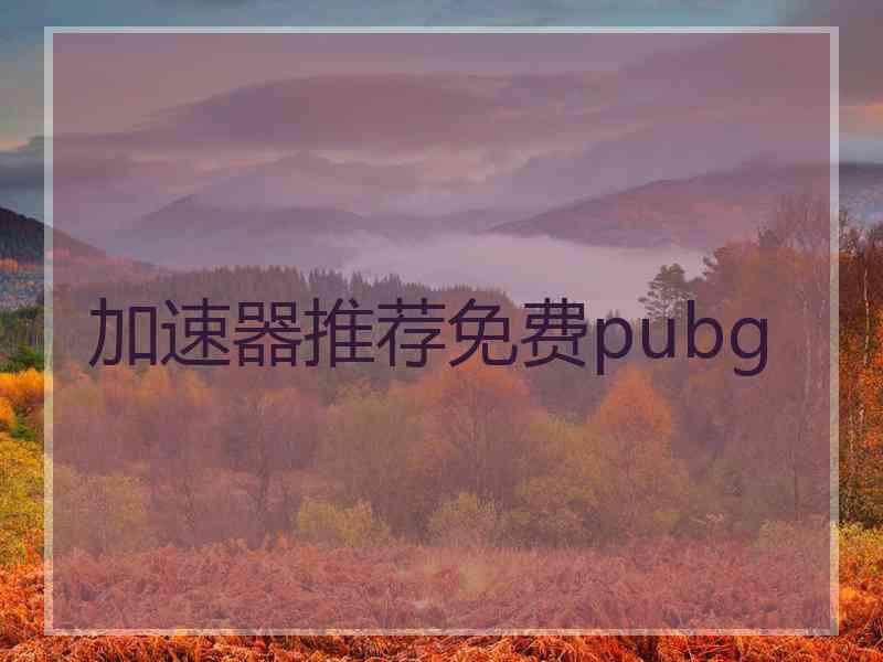 加速器推荐免费pubg