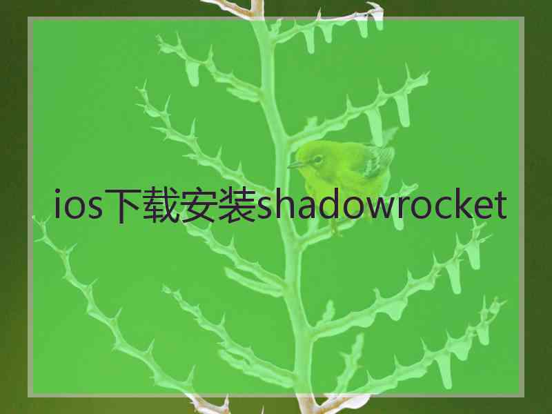 ios下载安装shadowrocket