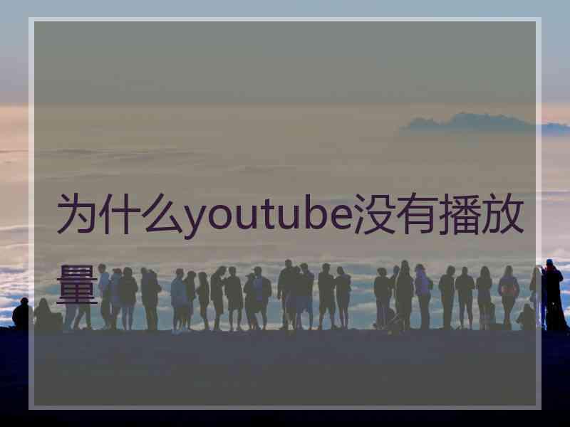 为什么youtube没有播放量