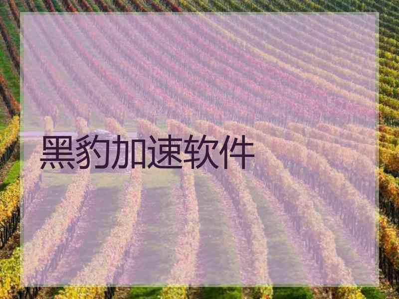 黑豹加速软件