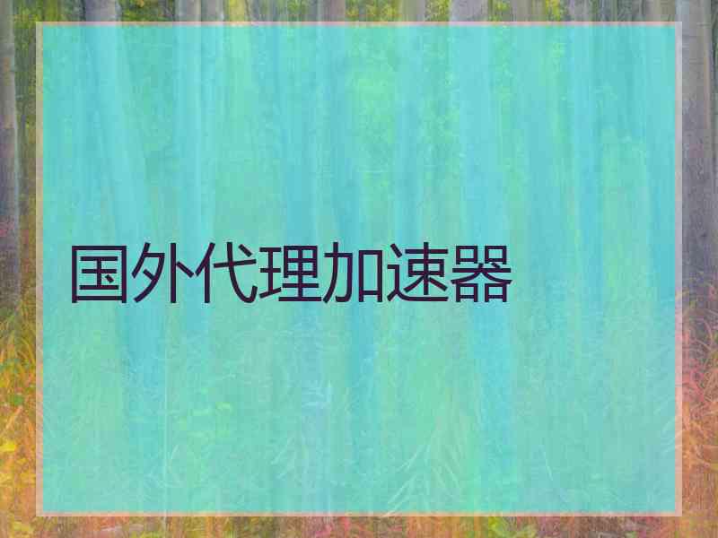 国外代理加速器