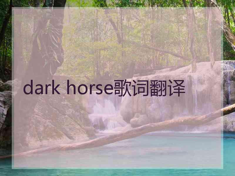 dark horse歌词翻译