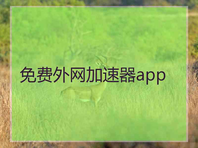 免费外网加速器app