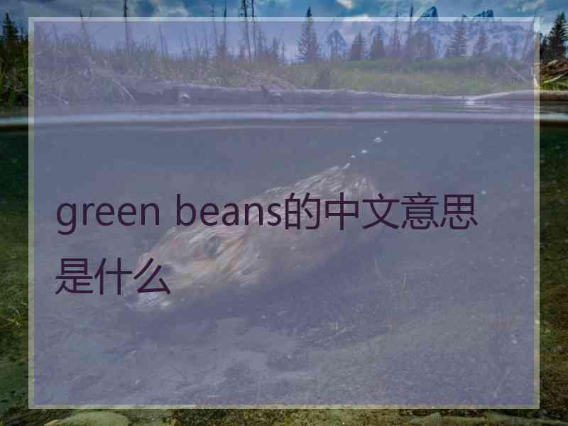 green beans的中文意思是什么