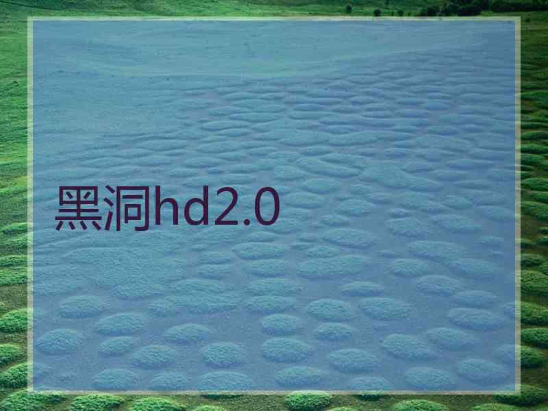 黑洞hd2.0