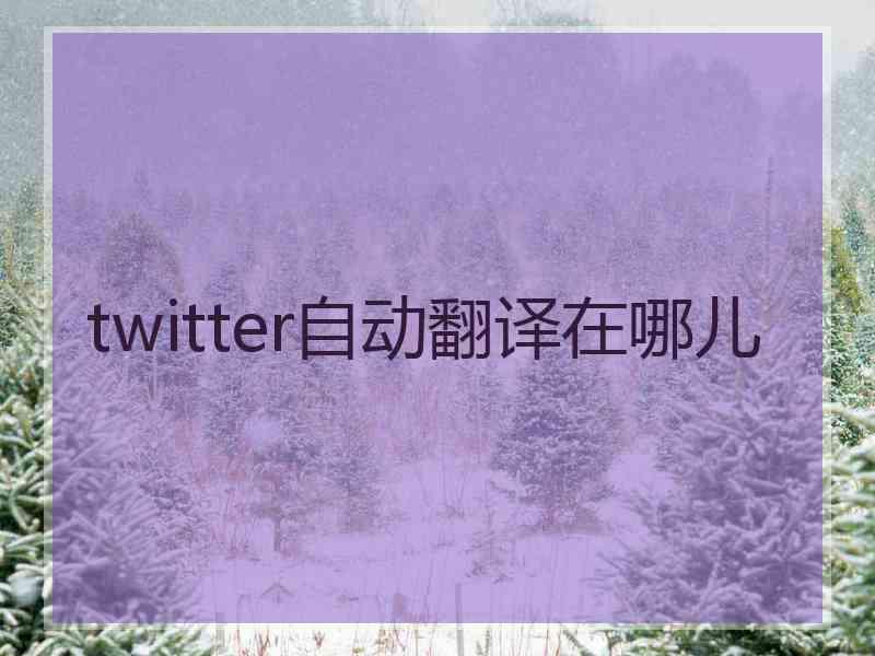 twitter自动翻译在哪儿