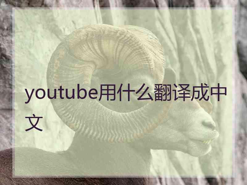 youtube用什么翻译成中文