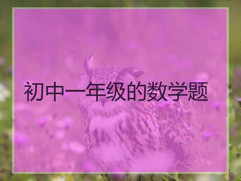 初中一年级的数学题