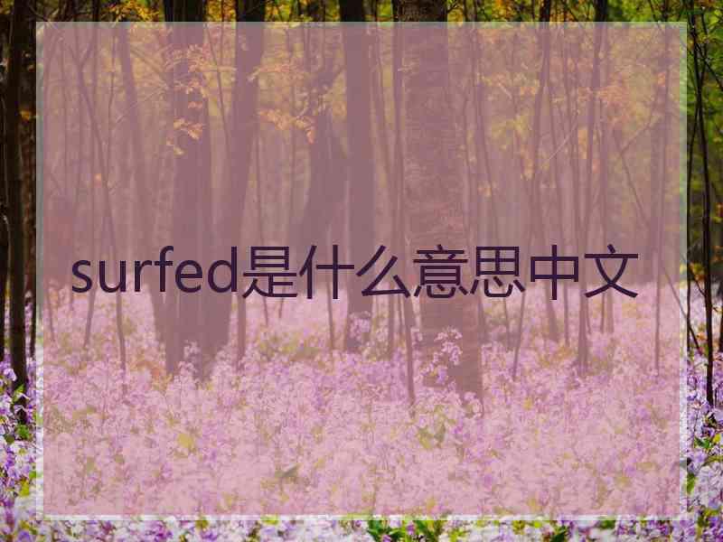 surfed是什么意思中文