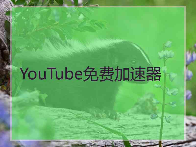 YouTube免费加速器