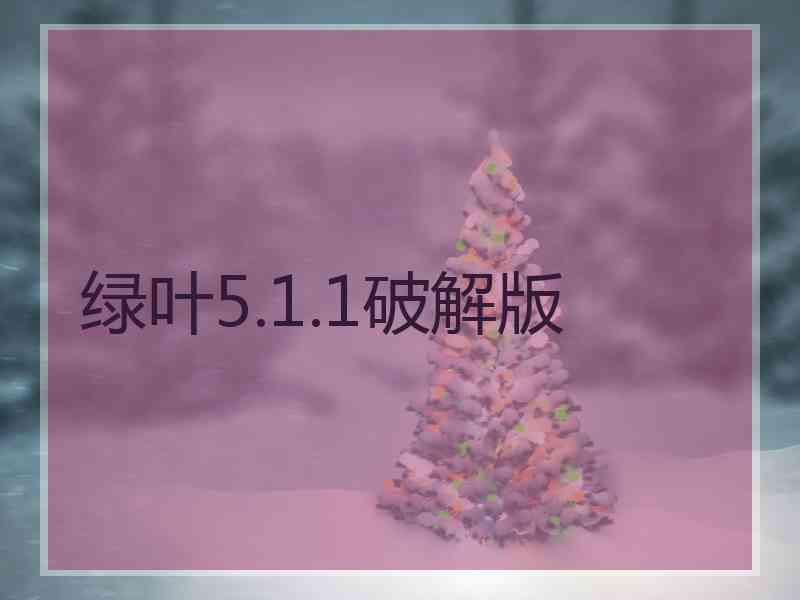 绿叶5.1.1破解版