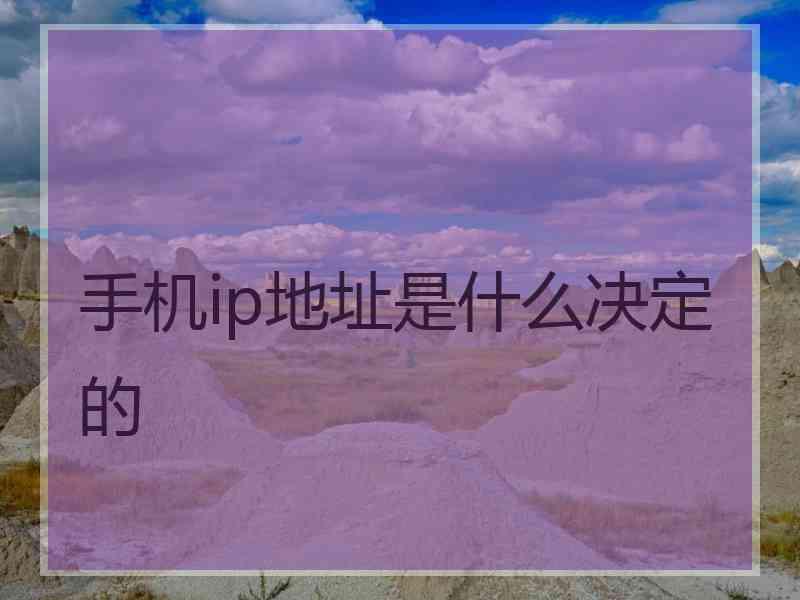 手机ip地址是什么决定的