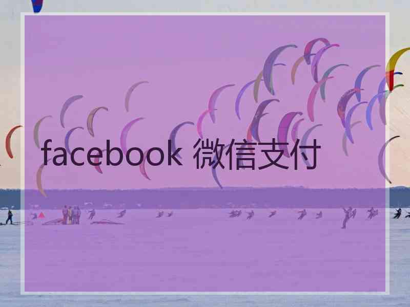 facebook 微信支付