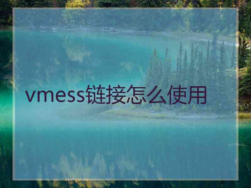 vmess链接怎么使用