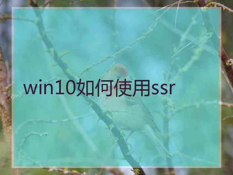 win10如何使用ssr