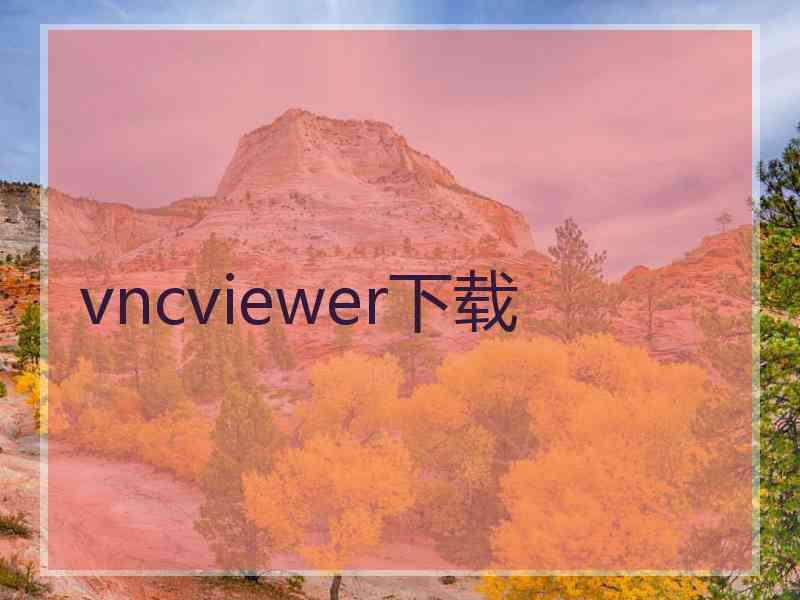 vncviewer下载