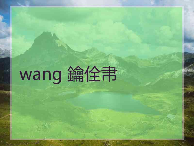 wang 鑰佺帇