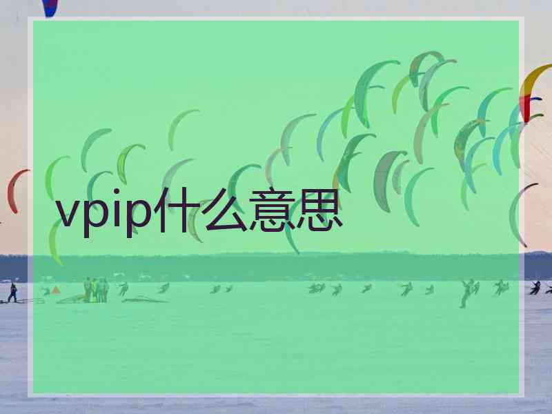 vpip什么意思