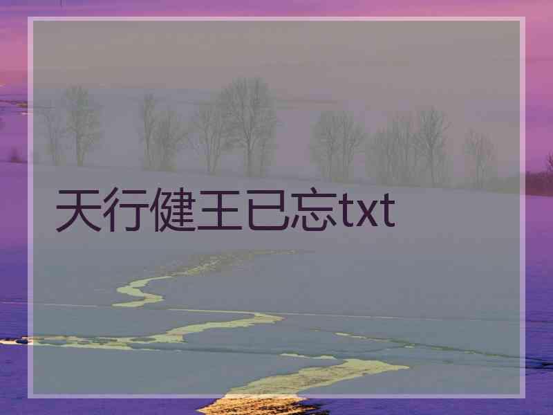 天行健王已忘txt