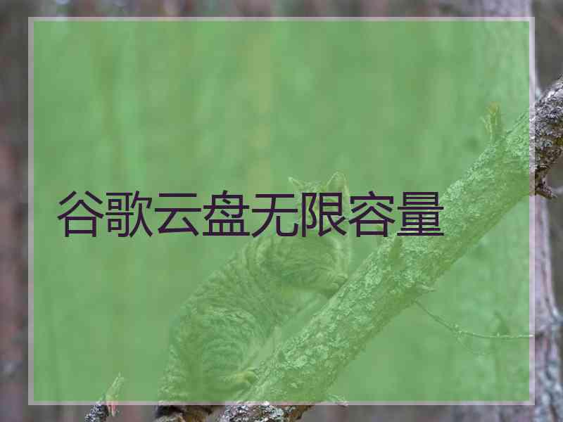 谷歌云盘无限容量