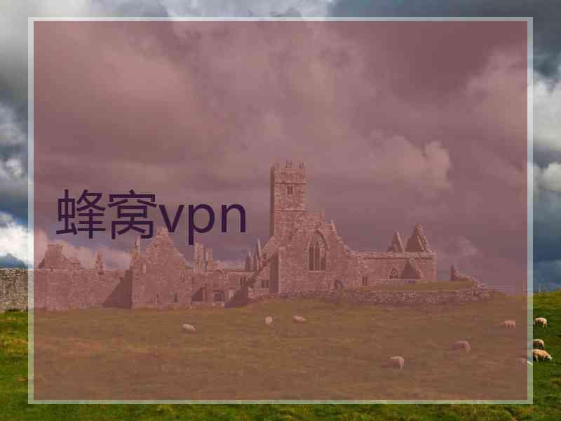 蜂窝vpn