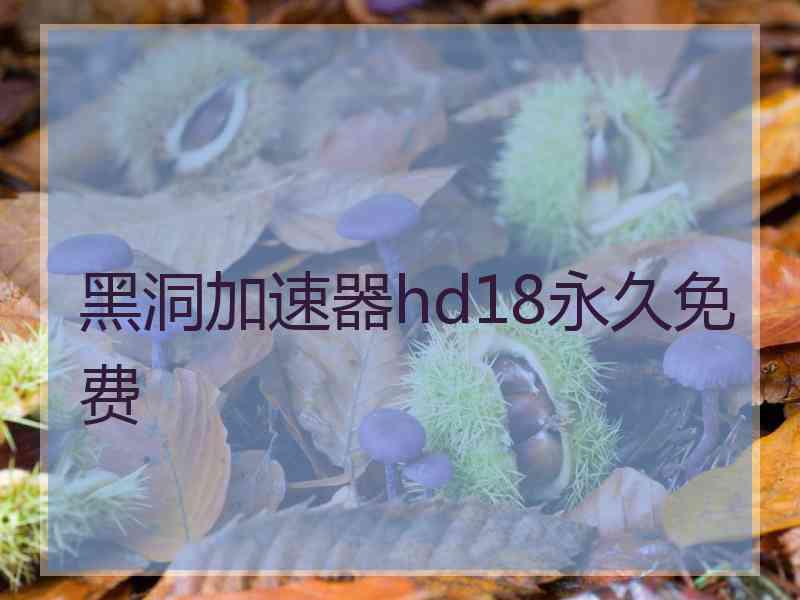 黑洞加速器hd18永久免费