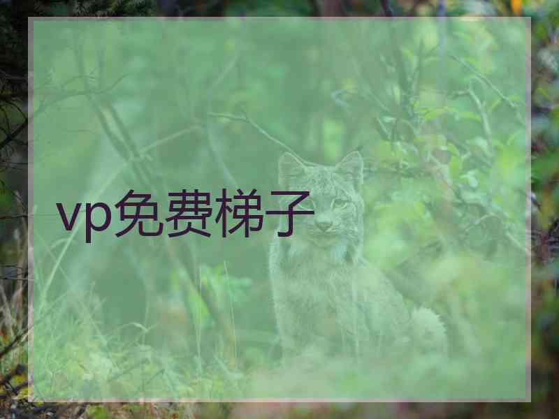 vp免费梯子