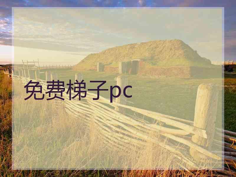 免费梯子pc