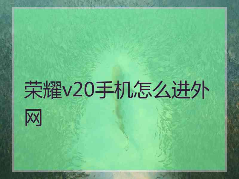 荣耀v20手机怎么进外网