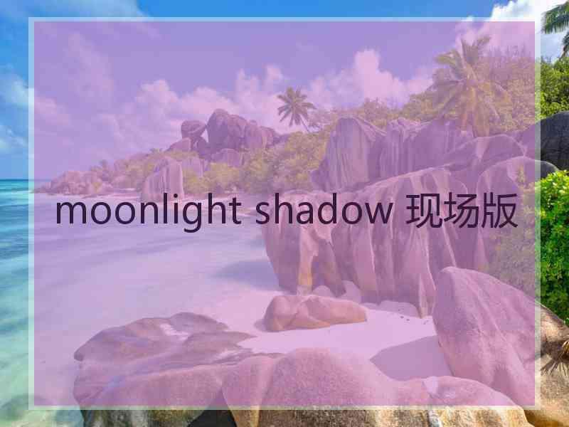 moonlight shadow 现场版