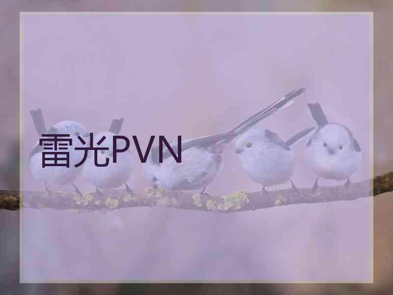 雷光PVN