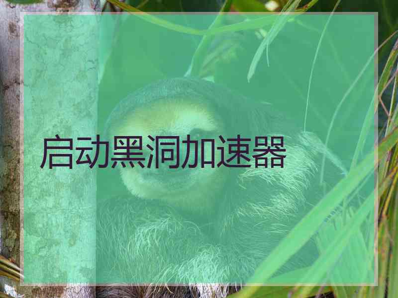 启动黑洞加速器