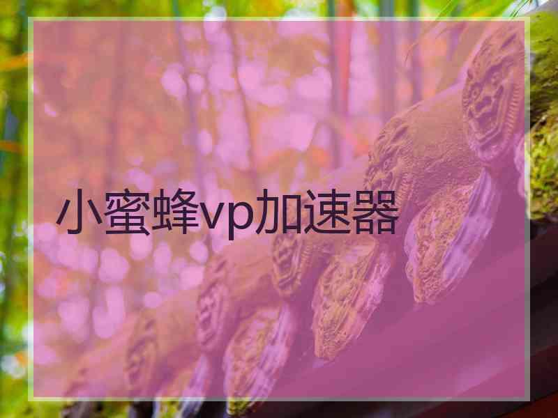 小蜜蜂vp加速器