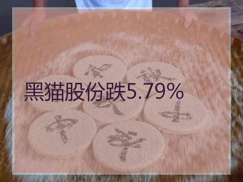 黑猫股份跌5.79%