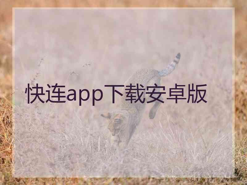 快连app下载安卓版