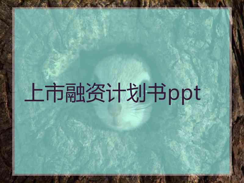 上市融资计划书ppt