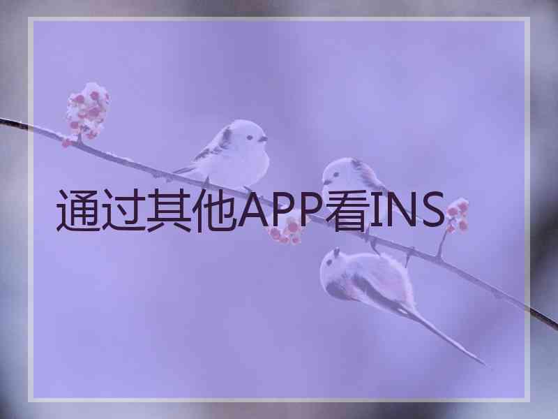 通过其他APP看INS