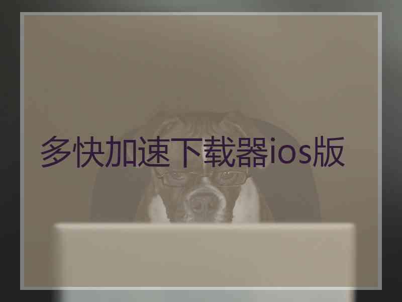 多快加速下载器ios版