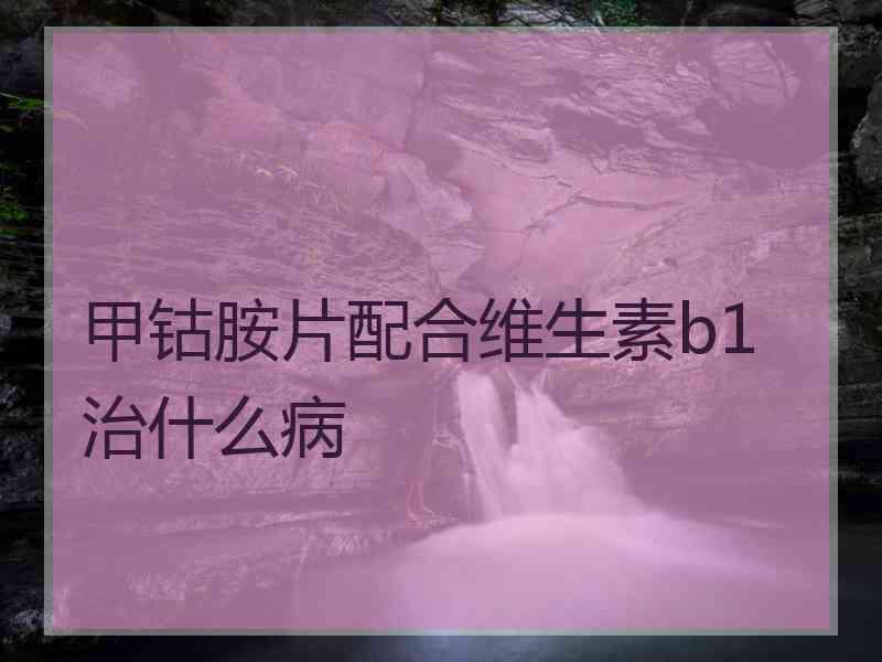 甲钴胺片配合维生素b1治什么病