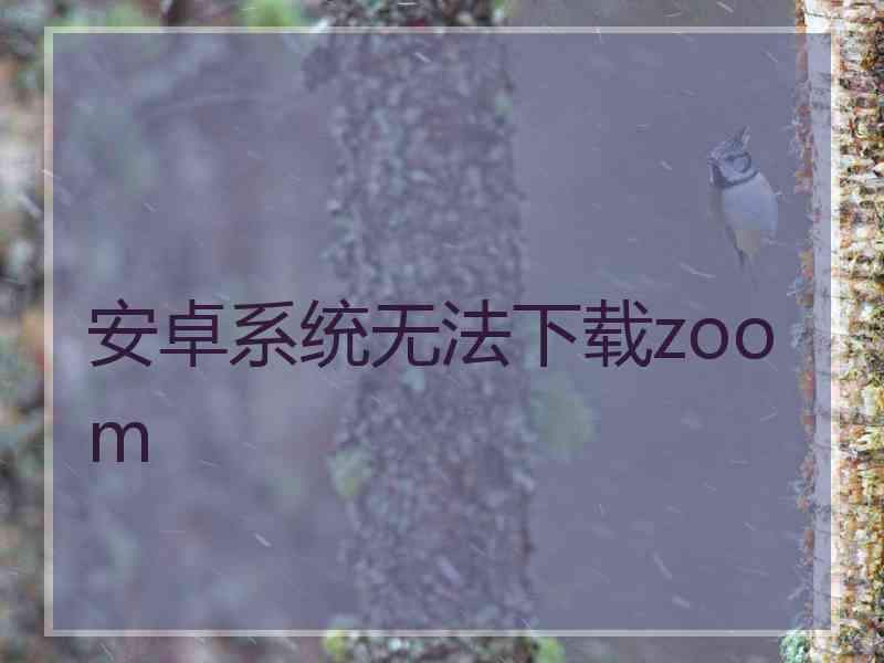 安卓系统无法下载zoom