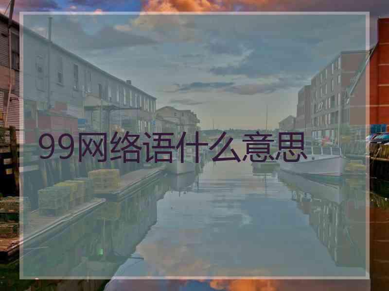 99网络语什么意思