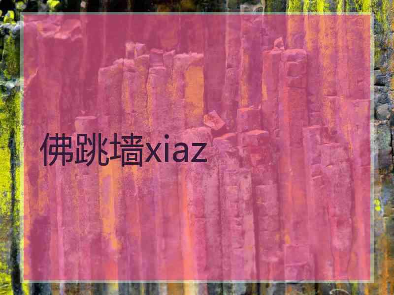 佛跳墙xiaz