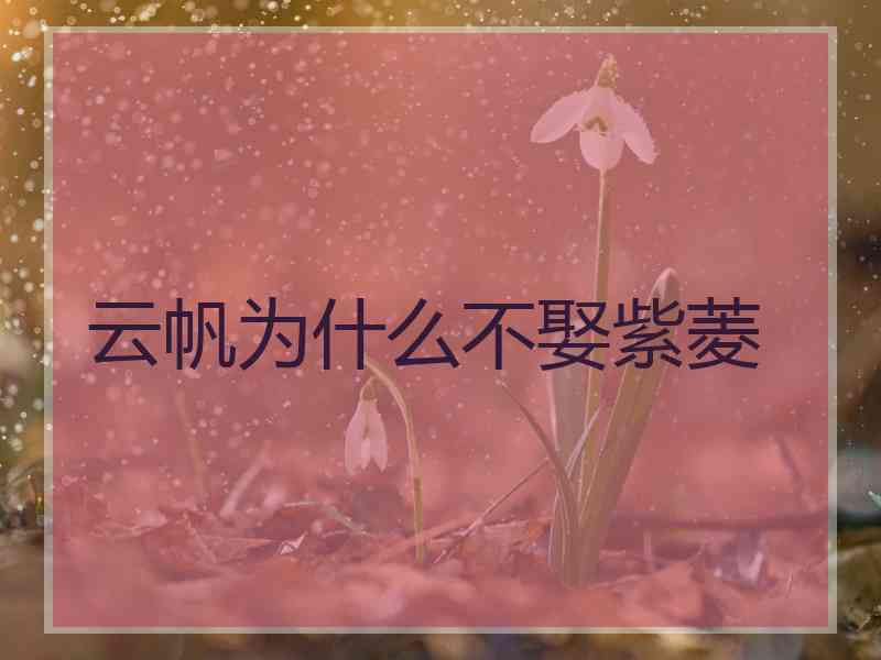 云帆为什么不娶紫菱