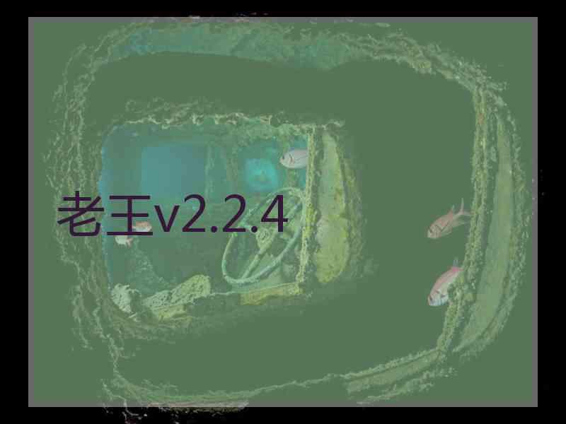 老王v2.2.4