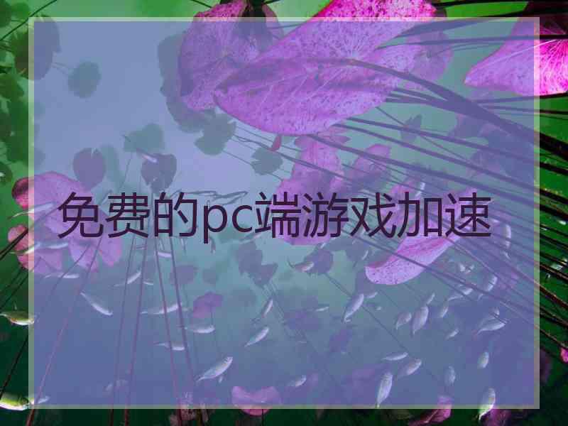 免费的pc端游戏加速