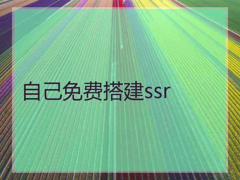 自己免费搭建ssr