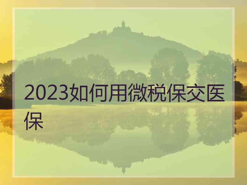 2023如何用微税保交医保