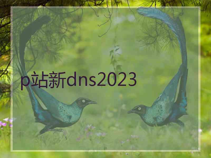 p站新dns2023