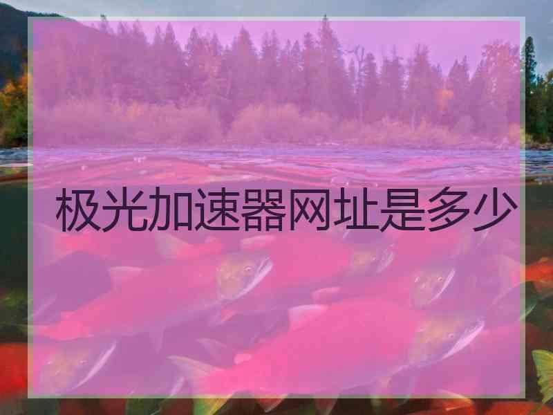 极光加速器网址是多少